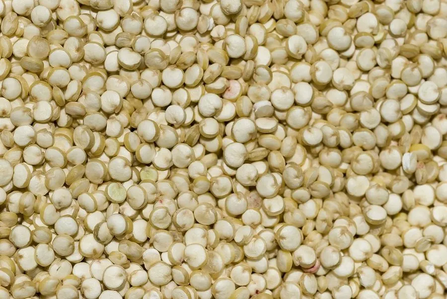 CLUB SEHAT- PEARL QUINOA 1 KG