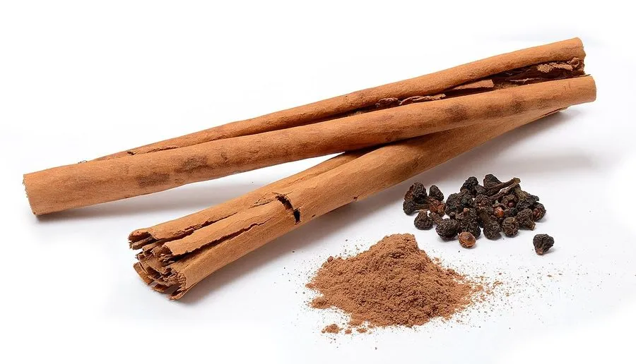 Cs- CINNAMON STICK 100 GR
