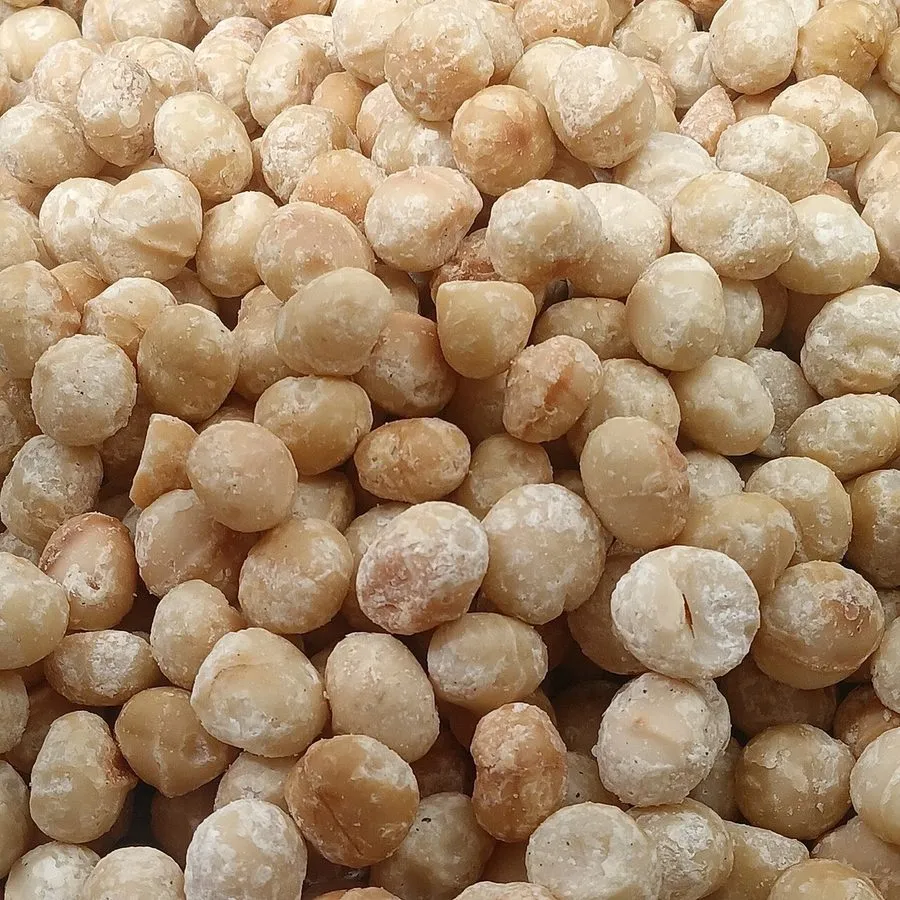 Cs- MACADAMIA NUT 100 GR