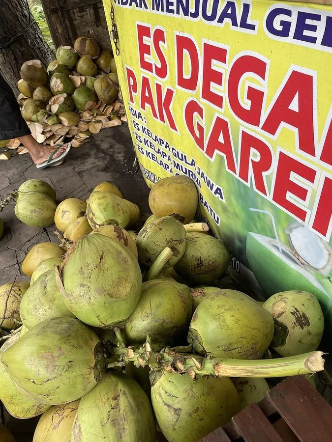 Kelapa pandan organik/pcs