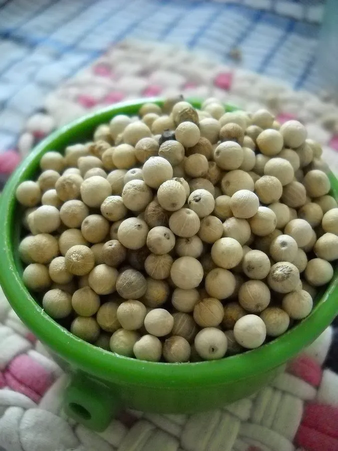 LAFANCY- WHITE PEPPER (LADA PUTIH)